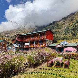 Colourful houses with tables and flowerbeds in the foreground.