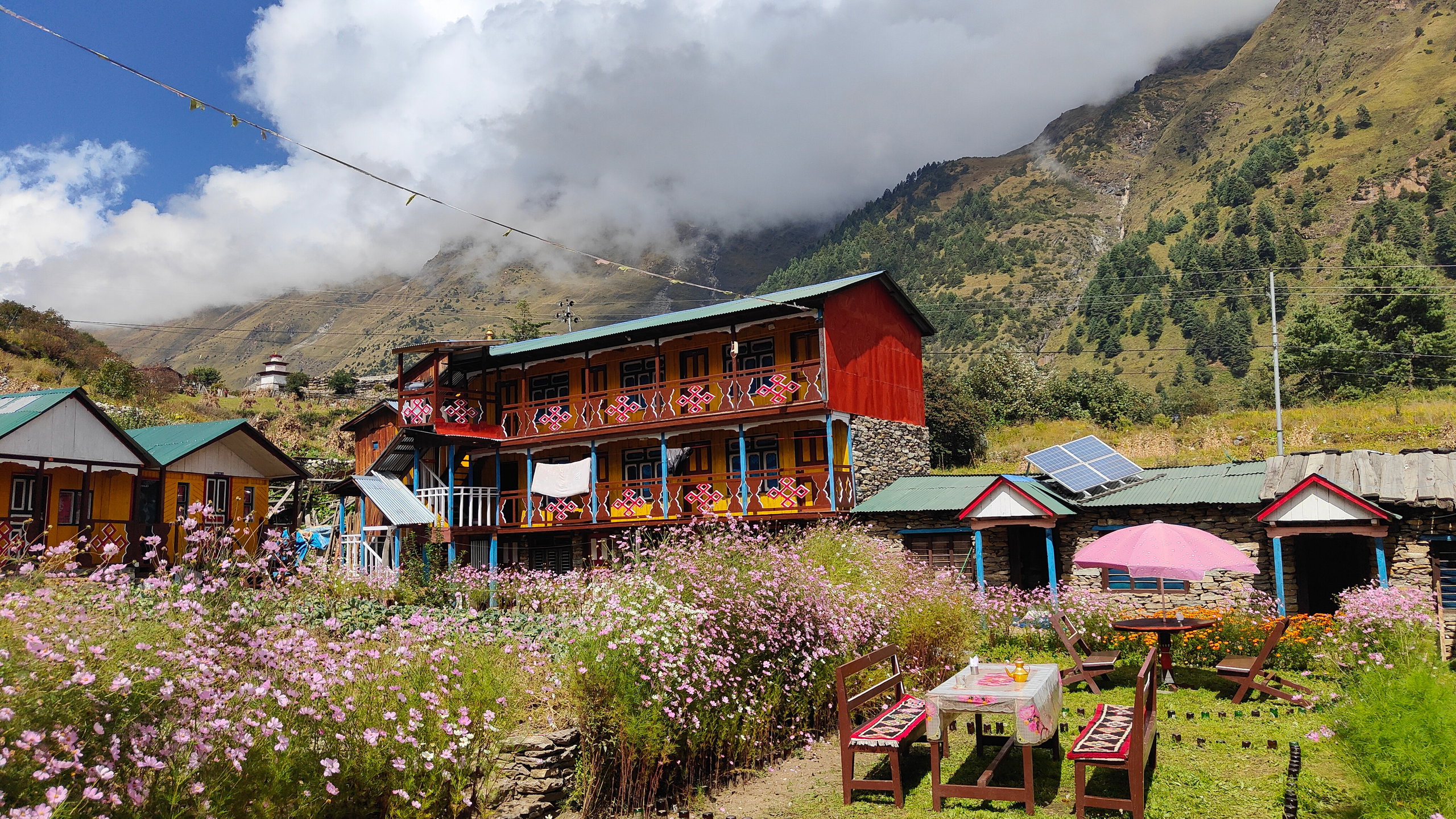 Colourful houses with tables and flowerbeds in the foreground.