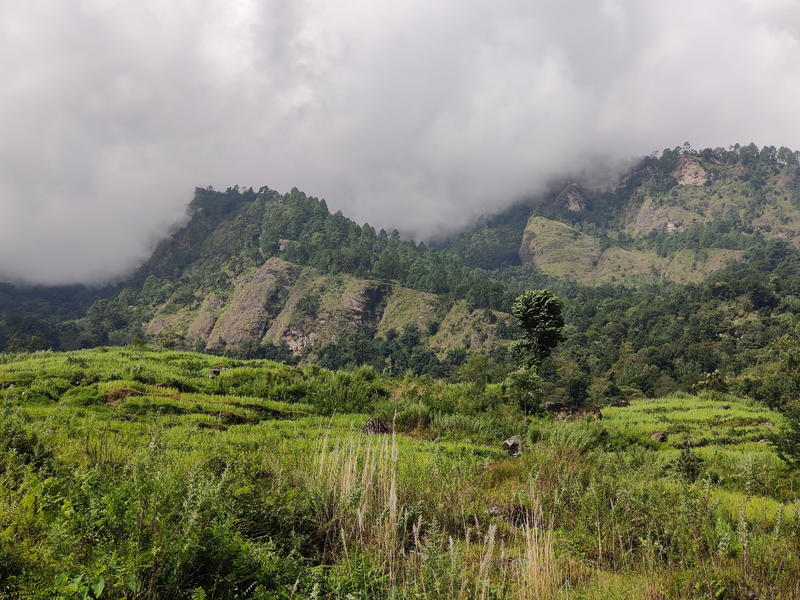 Green farm terraces in the foreground on rocky mountain slopes, with scattered pine trees and mist-covered peaks