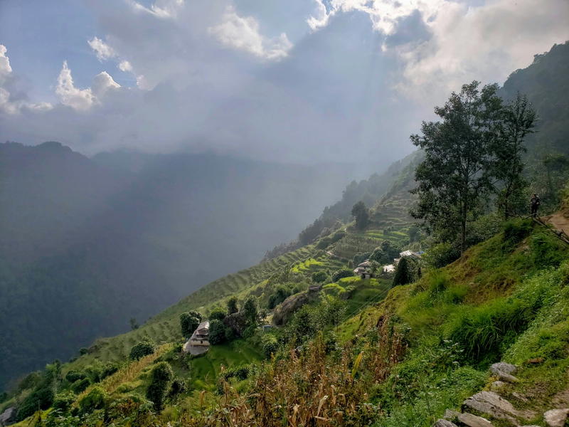 Lush, terraced rice fields in a mountainous valley in Nepal, with a few houses and wooded hills.