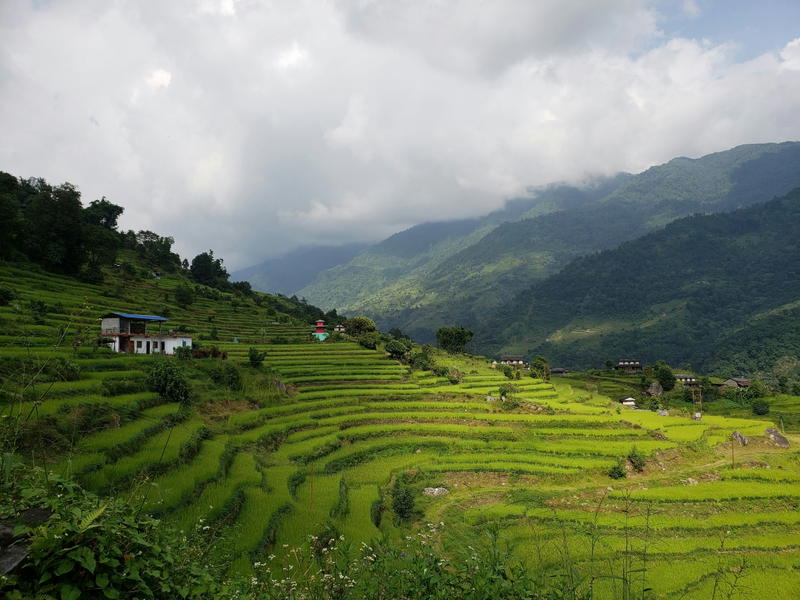 Lush terraced rice fields in a mountainous valley in Nepal, with a few houses and wooded hills.